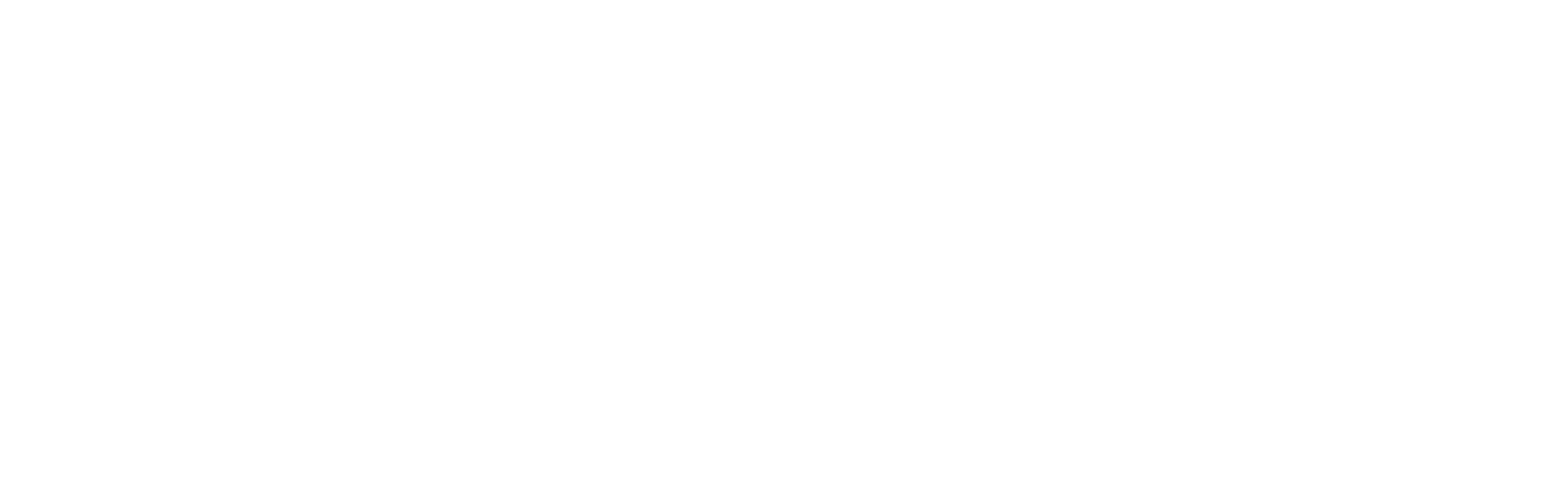 ProTek Logo